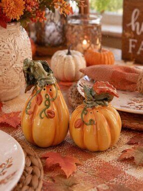 NWT Ceramic Pumpkin Salt & Pepper Shakers 🎃 Fall Harvest Table Decor Gift Set